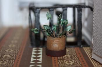 Plantes