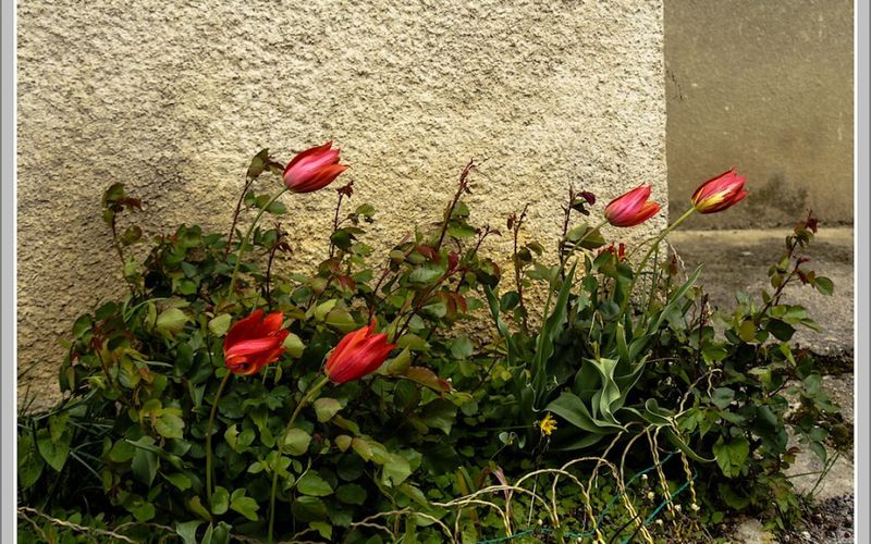 Mon spot du jour -  le vent - 25/04/12