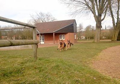 • balade avec les deux loups •