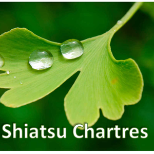 ShiatsuChartres