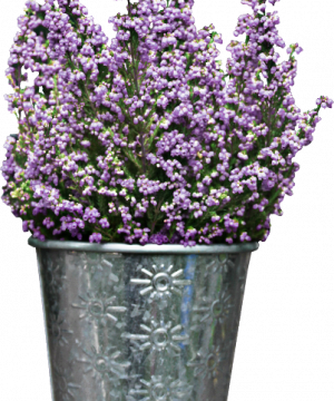 Des fleurs pour vos créations 