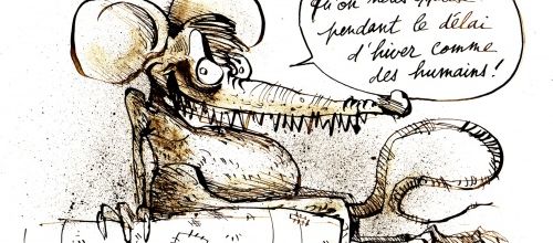 Insalubrité des Baumettes: pas de dératisation. Pendant ce temps ...