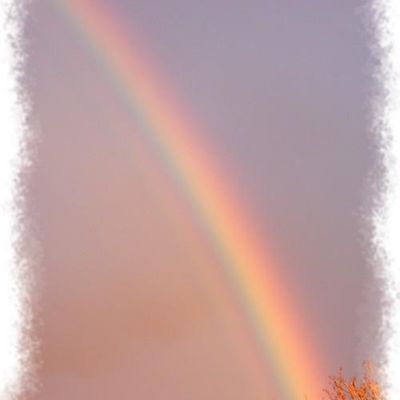 Un petit coucou de Violette