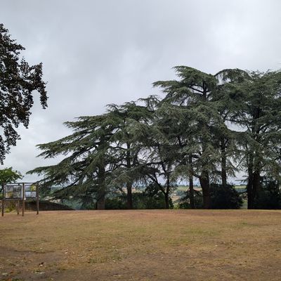 Champtoceaux sur la Loire -2