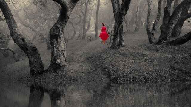 L'émotion nous amène à la tranquillité...