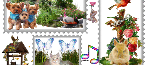 CADRE FLEURS ANIMAUX NATURE