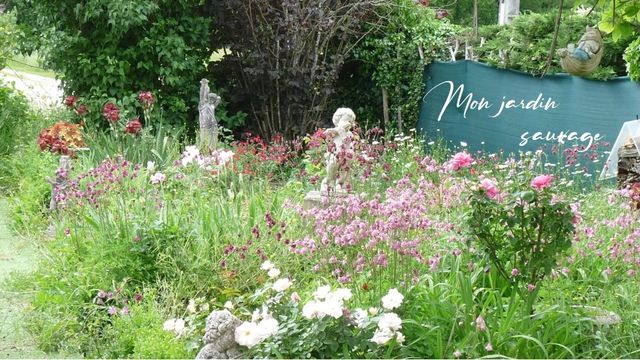 Mon jardin sauvage
