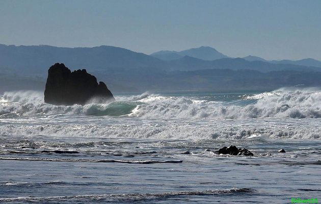 Vagues à Biarritz
