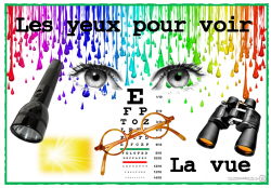 Affichage: les  5 sens