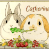 1166 lapin - 1167 fée cœur- Réception 10 -