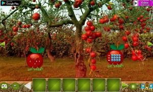 Apple tree farm escape soluce