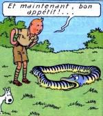 L'Ouroboros