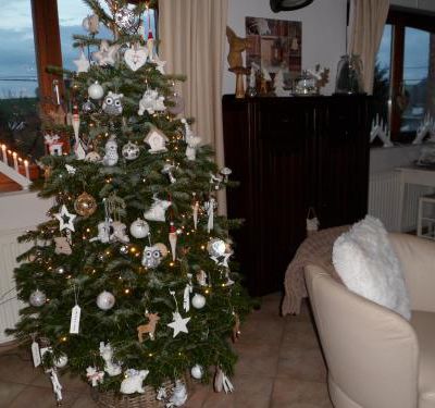 Mon beau sapin version 2015