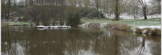 85 . Vendée - La Chaize le Vicomte (11) - Reflets dans la Vallée Verte