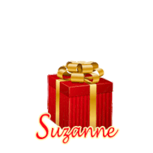 396 - Cadeau rouge et or