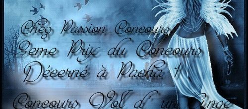 Concours - Le vol d'un ange - novembre 2010