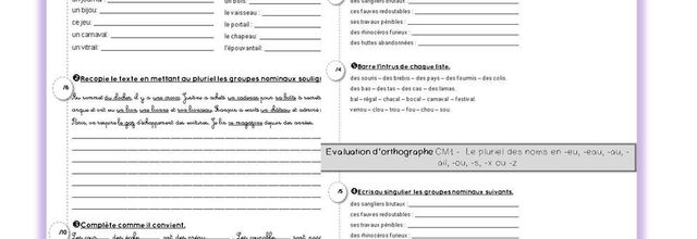 Evaluations d'orthographe CM