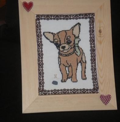 Voici Dipsy, la petite chienne de ma maman!!!!!