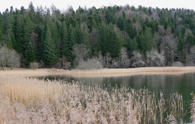 Le 25 décembre 2022 : Un petit tour dans les combes