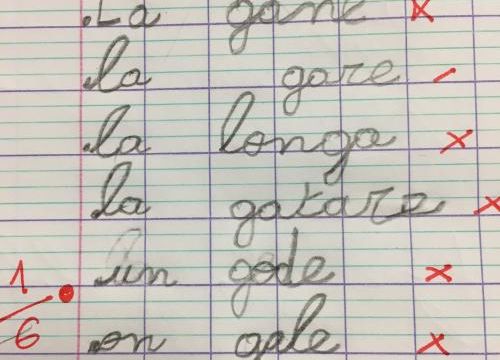 Anecdotes à Institland