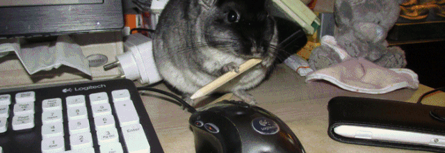 Lilou 11 mois ...