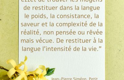 Citation sur la poésie, Jean-Paul Siméon