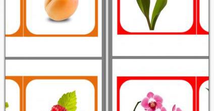 Images classifiées : Fruits, légumes, fleurs