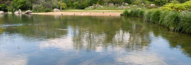 Les oiseaux du Parc de la Tête d'Or.