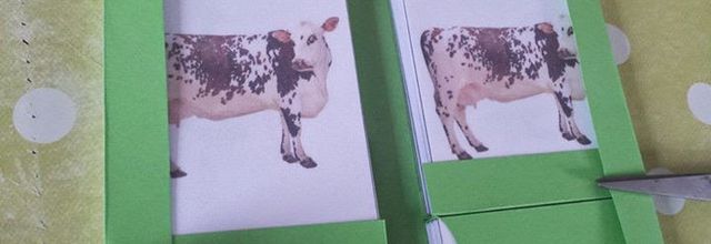 Tutoriel : Fabrication de pochettes pour les cartes en 3 parties