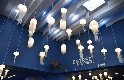 EB - Quelques poissons, à l'Aquarium de La Rochelle...