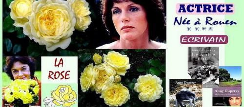  Une rose...un visage