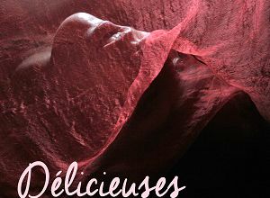 "Délicieuses rencontres" d'Amber Cooper