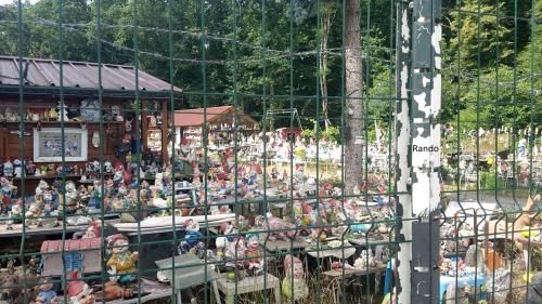 Les brèves du 20 juin....