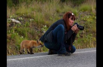 Surprises de photographe...