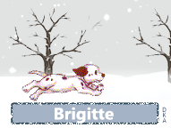 656 655 chien neige