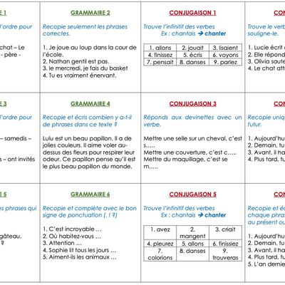 Autonomie CE1 : les cartes français (grammaire, conjugaison, vocabulaire)