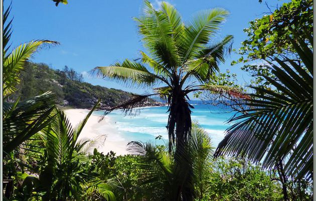 Panorama sur Petite Anse vue de haut - La Digue - Seychelles