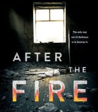 Books to download on ipad After the Fire 9781492669807