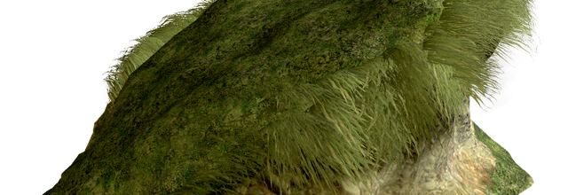 Ѽ Vegetation 