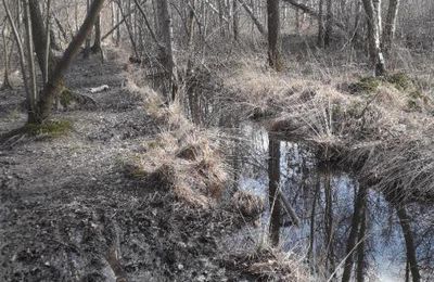 Profitons du beau temps