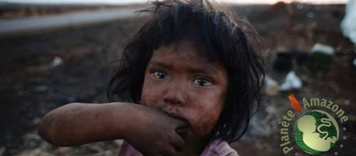  Le peuple Guarani-Kaiowá victime de terrorisme génocidaire !