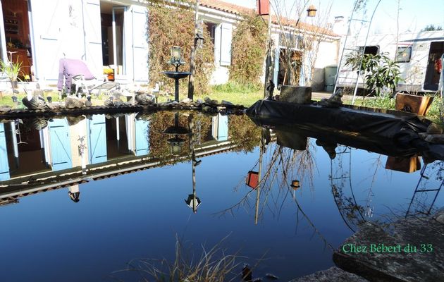 maison en reflets sur mon bassin