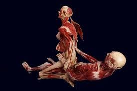 Le mort objet commercial