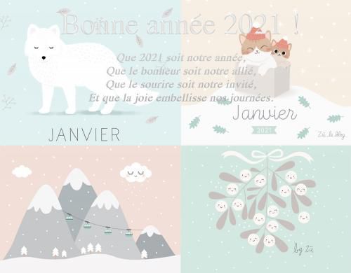 Bonne année 2021 !