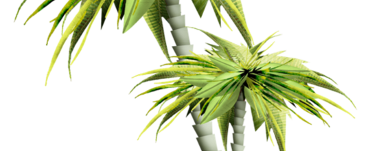 ѼVegetation