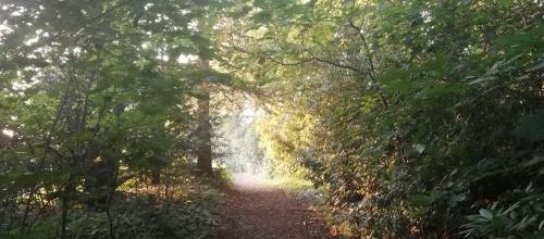 Réservez votre dimanche 28 novembre 2021 pour une jolie sortie dans les monts des Flandres