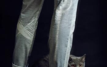 mode fashion cats wooter shipperen malmen luscaz wolesko