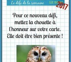 Passion Cartes Créatives#503 !