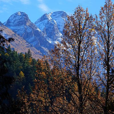 L'Abbaye de Boscodon