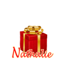 396 - Cadeau rouge et or